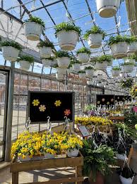 There is so much to see and do in st. Sunshine Express Garden Centre 18 Carlton Street East Niagara On The Lake On L0s 1j0 Canada
