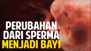 Hanya teori islam masih relevan dan terbukti hingga kini. Video Proses Terjadinya Manusia Belajar