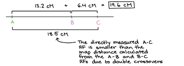 Genetic Linkage & Mapping (Article) | Khan Academy