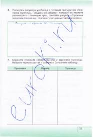 решебник по английскому языку 9 класс биболетова рабочая тетрадь Skachat Besplatno Gdz Po Anglijskomu Yazyku 4 Klass K Rabochej Tetradi Biboletova 3 Klass Matematika Ustnyj Schet Uchebnik