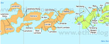 Nusa tenggara timur (disingkat ntt) adalah sebuah provinsi di indonesia yang meliputi bagian timur kepulauan nusa tenggara. Excerpt Of Linguistic Map Of Nusa Tenggara Timur And Alor Dotted Download Scientific Diagram