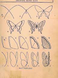40 Einfache Schritt Fur Schritt Kunstzeichnungen Zum Uben Gelangweilt Butterfly Drawing Butterfly Art Drawing Easy Butterfly Drawing
