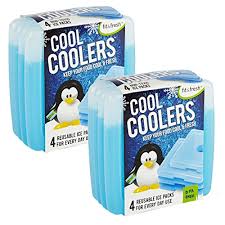You'll only need a few ingredients to make these simple ice packs and one. Fit Freshfit Fresh Cool Coolers Slim Ice Packs Reusable Ice Packs For Lunch Bags Beach Bags Coolers And More Set Of 8 Blue Dailymail