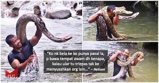 We did not find results for: Bawa Ular Sawa Mandi Sungai Lelaki Ini Ditegur Risikokan Keselamatan Orang Lain