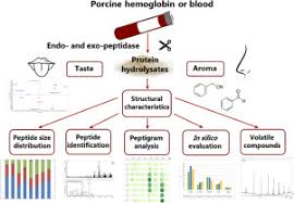 Science vocabulary by tristan williamson. Protein Hydrolysates Of Porcine Hemoglobin And Blood Peptide Characteristics In Relation To Taste Attributes And Formation Of Volatile Compounds Sciencedirect