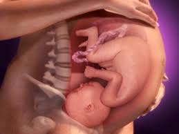 Key facts about your body & your baby's development. Inside Pregnancy Weeks 28 To 37 Video Babycenter