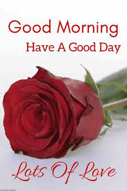 Pin On Good Morning Wishes