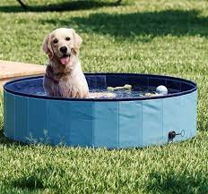 epingle sur cage enclos parc chien www cielterre commerce fr