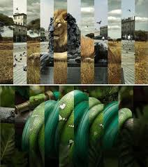 29 Man Vs Nature Ideas Man Vs Nature Man Vs Nature Illustrates the dichotomy and balance between man's need of ci… 29 man vs nature ideas man vs nature