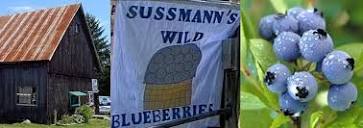 Sussmann's Wild Blueberries