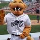 DSAW Timber Rattler Game August 2025 — Down Syndrome Association of Wisconsin