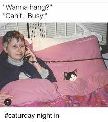 How my saturday night is going: Wanna Hang Can T Busy Moist Caturday Night In Caturday Meme On Me Me