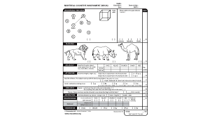 It was created in 1996 by ziad nasreddine in montreal, quebec. Trump S Cognitive Test The Truth About It Opinion Cnn