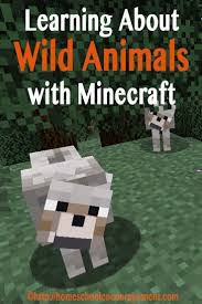 Roy mehta / taxi / getty images when you're new to homeschooling, the logistics can seem overwhelm. Learning About Wild Animals Love Minecraft Take A Look At These Ways To Kick Off Your Learning With A Homeschool Encouragement Minecraft School Homeschool