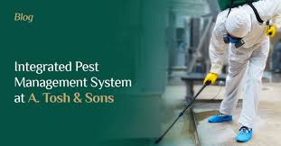 What is the definition of ipm? Integrated Pest Management System At A Tosh Sons A Tosh Sons Leading Tea Manufacturer Exporters Since 1897