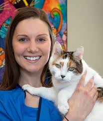 Veterinarians in Kensington