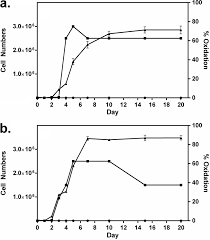 Term contracts & credit cards/paypal accepted. Production Of Manganese Oxide Nanoparticles By Shewanella Species Applied And Environmental Microbiology