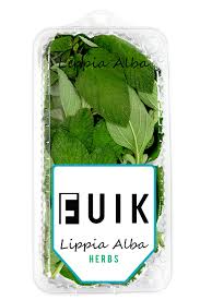 Image result for Lippia praecox
