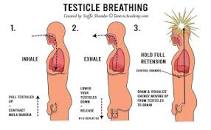 Image result for sexual energy