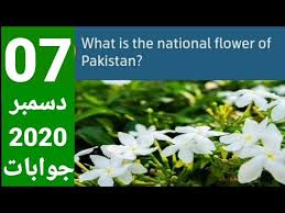 Telenor Question Today My Telenor App 07 December 2020 Questions Answers December 07 2020 Sialkottv Youtube