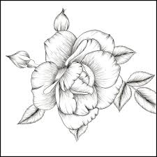 Silver On Instagram A Rose By Any Other Name Doodle Art Drawing Illustration Artist Artwork Draw Sketchbook Cr Art Day Artwork Sketch Book