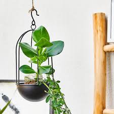 Moderne Dekoidee Fur Dein Zuhause Depot In 2020 Balkondekoration Garten Deko Garten