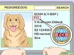 3 Ways To Read A Dog's Pedigree - Wikihow Pet