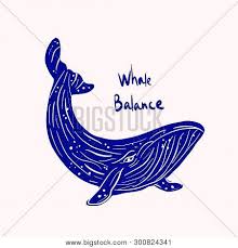 Check spelling or type a new query. Vaquita Marina Blue Vector Photo Free Trial Bigstock