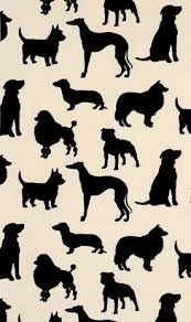 Au Au Au Osborne And Little Wallpaper Dog Wallpaper Dog Wallpaper Iphone