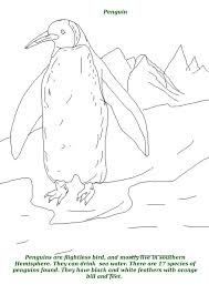 They are one of the most southerly distributed of all seabirds. Birds Printable Coloring Page For Kids 12