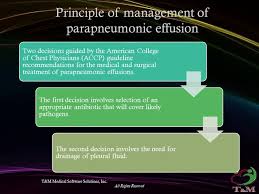 Image result for Parapneumonic Effusion