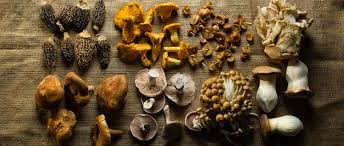 It's not recommended that you wash them, but rather that you brush any of the growing medium off with a soft brush. The Best Way To Clean Mushrooms Tasting Table
