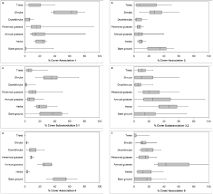 Image result for Zygophyllum leucocladum