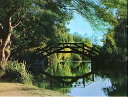 Reflections-Encanto Lagoon