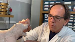 Brazgil Porcelain Manufacture