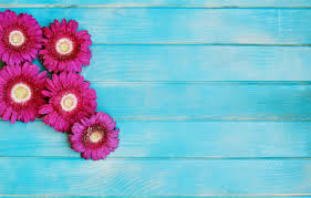 Synthwave background, music, sunrise, abstract, sunset, pink. Wallpaper Flowers Pink Blue Background Gerbera Images For Desktop Section Cvety Download