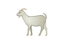Goat Emoji Https Www Emojimantra Com
