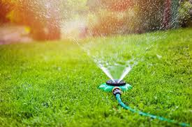 Irrigate the soil daily, at least twice a day, but possibly more. Spring Lawn Care Get Your Watering Tips Here Swazy Alexander Landscaping