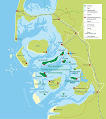 Blick von der eilun auf eine seehundkolonie zwischen amrum und föhr. Gebiet Der Biosphare Halligen