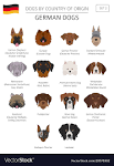 25 Dog Breeds From Germany - iHeartDogs