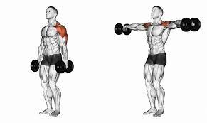 The primary muscle worked in the lateral raise exercise is the medial or middle deltoid. Why Do I Feel Lateral Raises In My Traps 7 Tips To Activate Delts My Bodyweight Exercises