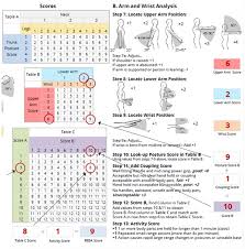 A Step By Step Guide To The Reba Assessment Tool