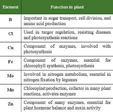 What is the difference between macro and micronutrients? Micronutrients For Crop Production Pioneer Seeds