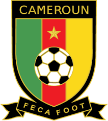 Another african cup of nations final between the two african rivals. Cameroon National Football Team Wikipedia
