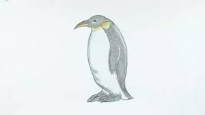 Cartoon penguin illustrations & vectors. How To Draw A Penguin 14 Steps With Pictures Wikihow