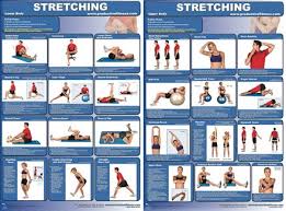 Exercise Stretching Professional Fitness Instructional Wall