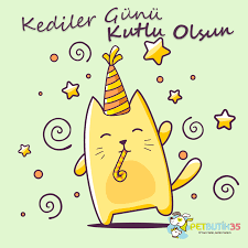 Dunya Kediler Gunu Kutlu Olsun Petbutik35 Kedim Benim Herseyim