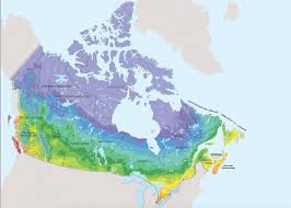 What Are Planting Zones Usda Plant Hardiness Zones The