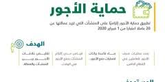 قسم شخصيات يتناول العديد من سيرة وحياة الشخصيات التاريخية والاجتماعية والشخصيات المؤثرة على مواقع التواصل الاجتماعي وينقل أهم المعلومات عنهم. Ù…Ù† Ù‡ÙŠ Ø¹Ø¨ÙŠØ± Ù…ÙˆØ³Ù‰ ÙˆÙŠÙƒÙŠØ¨ÙŠØ¯ÙŠØ§ Ù…ÙˆØ³ÙˆØ¹Ø© Ù†Øª
