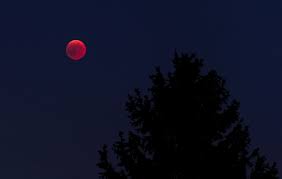 27 iulie 2018 admin 0 comment. Zodii Afectate De EclipsÄƒ 21 Ianuarie 2019 Luna Sangerie Dcnews